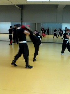 hunggarnancy-artsmartiaux-wushu-kungfu-entrainement-combat-5janvier2015-21    